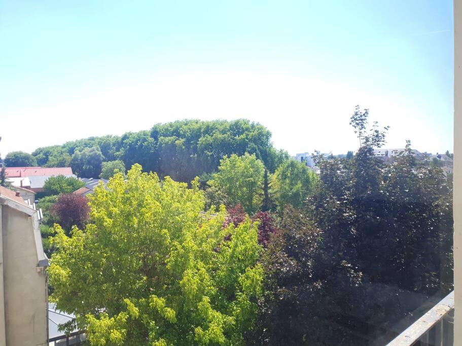 Le Cosy Du Faux Bourg Apartment Chalons en Champagne Ngoại thất bức ảnh
